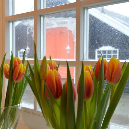 Holiday home Luxurious Farmhouse In Lutjewinkel With Sauna